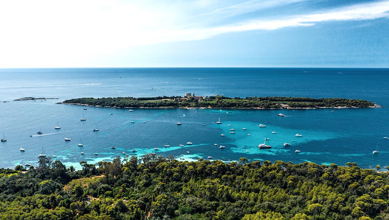 View from Cannes